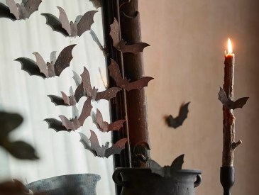 Terrain Anthropologie bat decor