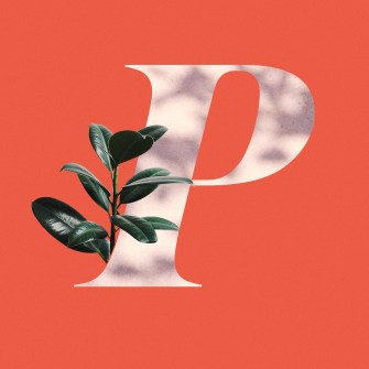 Baby names beginning with P