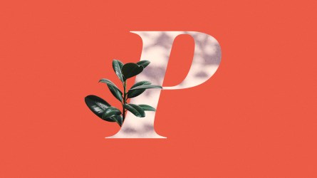 Baby names beginning with P