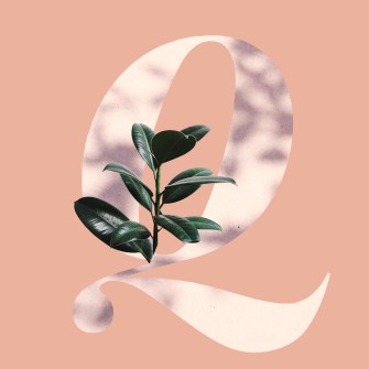 baby names beginning with Q