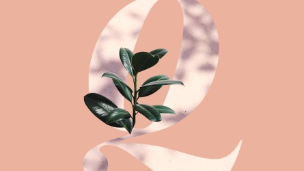 baby names beginning with Q