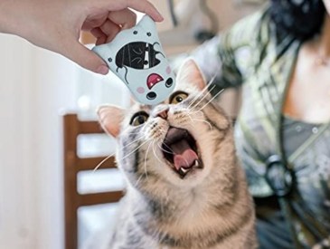 cat playing with Dorakitten Halloween Catnip Toys