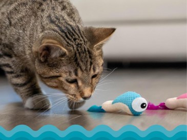 Petstages Catstages Dental Shrimpies Catnip Cat Chew Toy