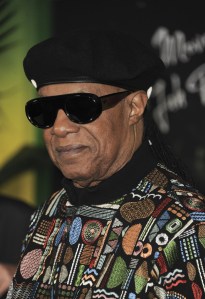 Stevie Wonder at arrivals for BOB MARLEY: ONE LOVE Premiere, Regency Village Theatre, Los Angeles, CA, February 06, 2024. Photo By: Elizabeth Goodenough/Everett Collection