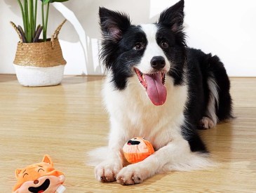 Amazon three-layered dog toy.