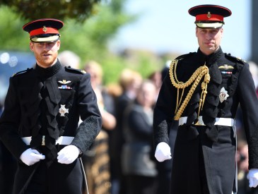 Prince Harry, Prince William