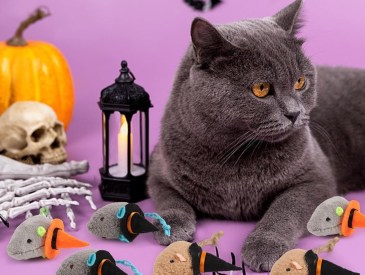 Shoppers say their cats love FOIMAS' Halloween Catnip Mouse Witch Toys, saying they are "cute and so much fun!"