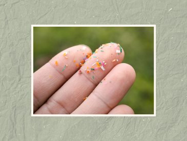 Closeup of fingertips covered with microplastic particles.