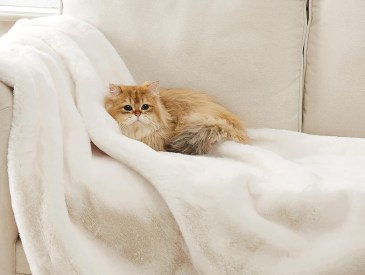 UGG Euphoria Throw Blanket