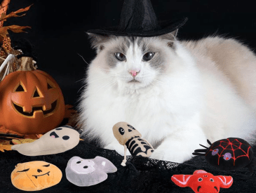 Cat playing with FOIMAS Halloween Catnip Toys, which come in a pack of six catnip-stuffed toys for under $9.