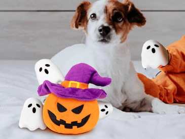 lilfrd Halloween Pumpkin & Ghost toy