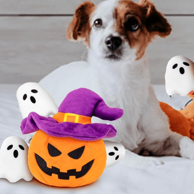 lilfrd Halloween Pumpkin & Ghost toy